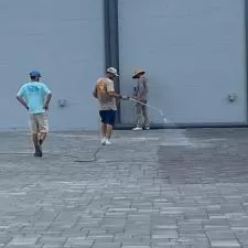 Paver cleaning 2