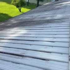 Roof Cleaning San Mateo 0
