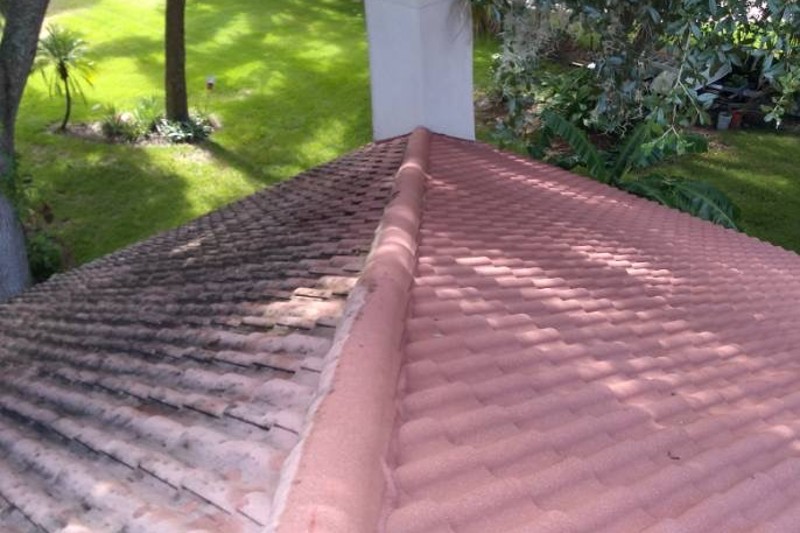 Roof Cleaning Near Me